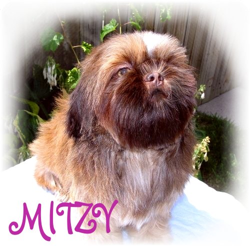 MISS MITZY04