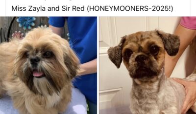 Miss Zayla & Sir Red