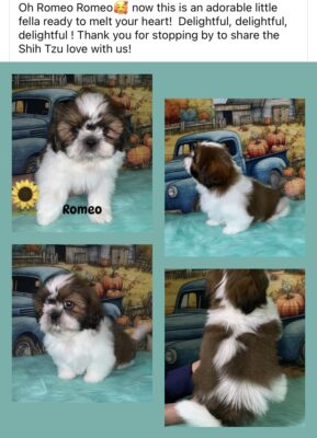 Romeo