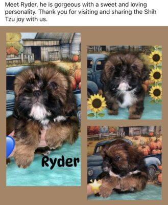 Ryder